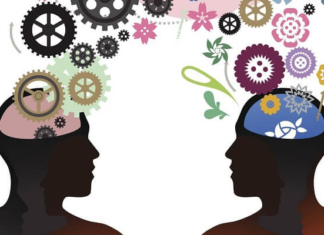 Trắc nghiệm MBTI – Giải pháp đánh giá nhân sự dành cho doanh nghiệp trắc nghiệm MBTI