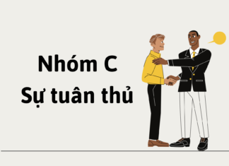 Nhóm C (Conscientiousness) – Sự tuân thủ Nhóm C trong DISC