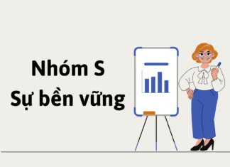 Nhóm S (Steadiness) – Sự bền vững nhóm S trong DISC