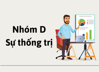 Nhóm D (Dominance) – Sự thống trị nhóm D trong DISC
