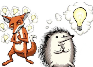 Quy tắc con nhím – Phương pháp chọn nghề “chuẩn không cần chỉnh” quy tac con nhim