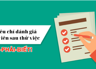 3 tiêu chí đánh giá nhân viên thử việc cho doanh nghiệp
