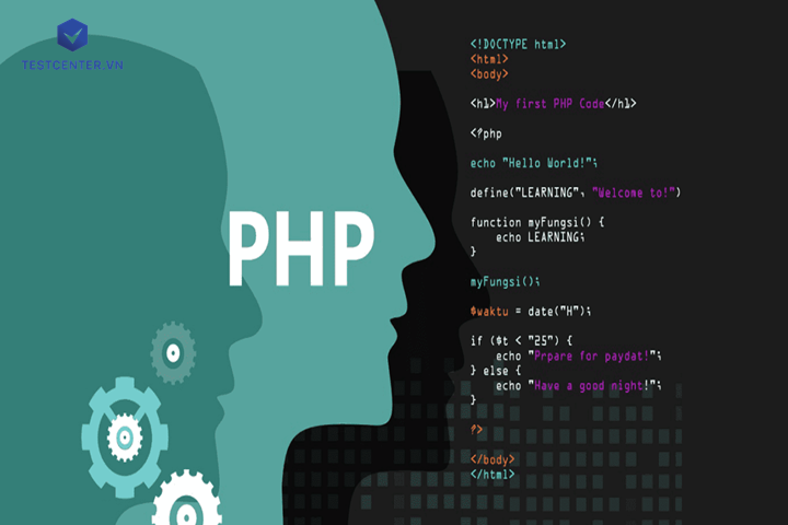 PHP online test là gì