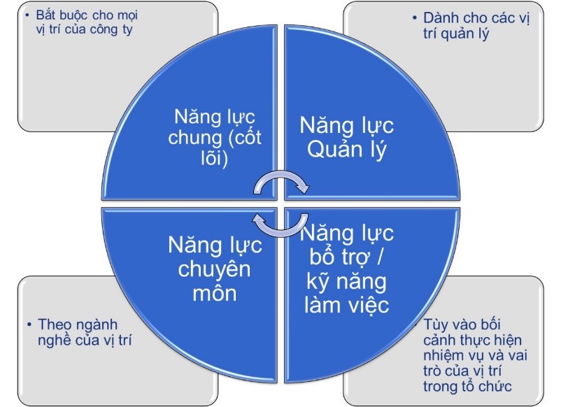 hệ thống đánh giá năng lực nhân sự uy tín nhất