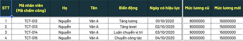 Biểu mẫu theo dõi biến động tiền lương của nhân sự