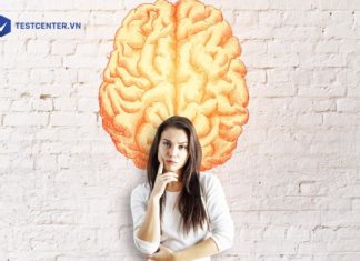 Chỉ số EQ bao nhiêu là cao? Lợi ích khi nhân viên có EQ cao? Chỉ số EQ bao nhiêu là cao? Lợi ích khi nhân viên có EQ cao