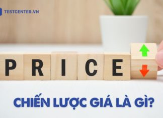 Chiến lược giá là một trong những nhiệm vụ quan trọng hàng đầu của marketing nói riêng và doanh nghiệp nói chung